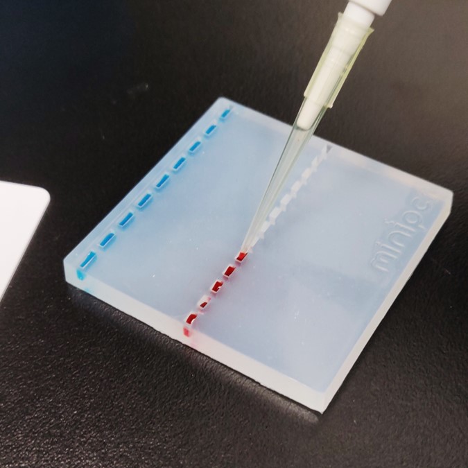 Experiencia miniPCR: Laboratorio de aprendizaje sobre pipetas