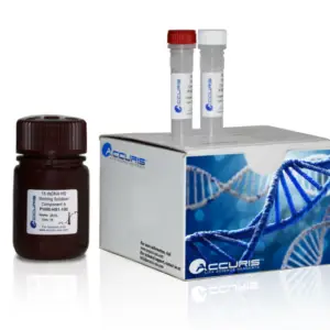 Broad Range dsDNA Quantification Kit, 100 assays- Benchmark