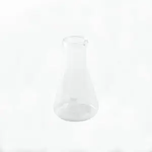 Matraz Erlenmeyer - Borosilicato - 25 mL
